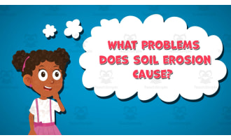 I WONDER - What Problems Does Soil Erosion Cause | Animated Video