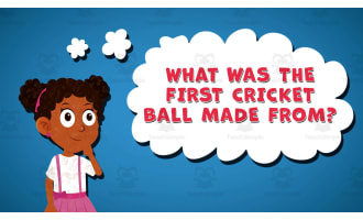 I WONDER - What Was The First Cricket Ball Made From | Animated Video