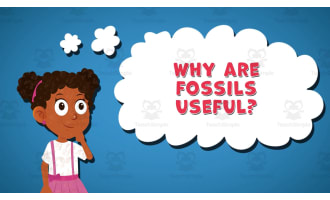 I WONDER - Why Are Fossils Useful | Animated Video Lesson