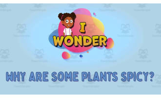I WONDER - Why Are Some Plants Spicy  | Animated Video Lesson