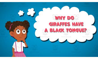 I WONDER - Why Do Giraffes Have A Black Tongue | Animated Video Lesson