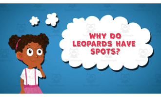 I WONDER - Why Do Leopards Have Spots | Animated Video Lesson