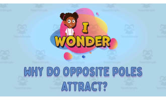 I WONDER - Why Do Opposite Poles Attract | Animated Video Lesson