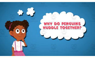 I WONDER - Why Do Penguins Huddle Together | Animated Video Lesson