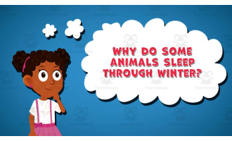 I WONDER - Why Do Some Animals Sleep Through Winter | Animated Video
