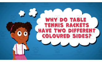 I WONDER Why Do Table Tennis Rackets Have Two Different Coloured Sides