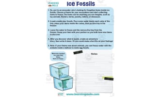 Ice Fossils Activity