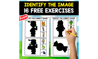 IDENTIFY THE CORRECT IMAGE | 16 FREE EXERCISES