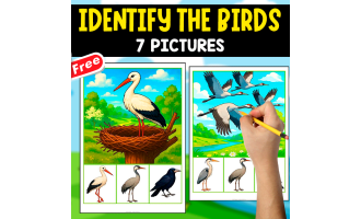 IDENTIFY THE SIMILAR BIRD | 7 FREE PICTURES