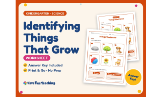 Identifying Things That Grow Worksheet – Kindergarten Plants Practice