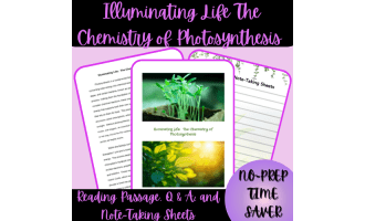 Illuminating Life: The Chemistry of Photosynthesis Reading Passage