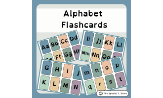 Inclusive Alphabet Flashcards for PRE-K, Kinder, 1st Grade, Special Ed