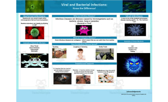 Infectious Disease Trifold Poster