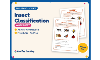 Insect Classification Worksheet – 2nd Grade Animals & Insects Practice