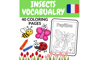 Insects Coloring Pages in French