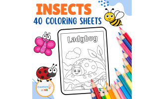 Insects Coloring Pages.