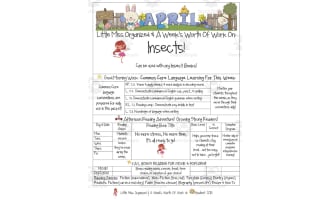 Insects | Reading Activity Packet