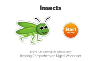 Insects Reading Comprehension Digital Worksheet