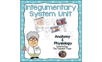 Integumentary System Unit