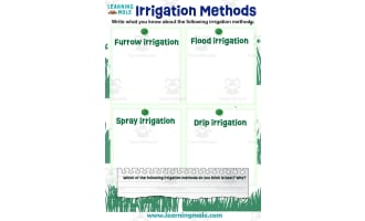 Irrigation Methods Activity