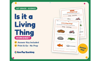 Is it a Living Thing Worksheet – 1st Grade Practice + Answer Key