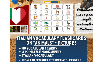 Italian Picture Vocabulary Flashcards - Animals