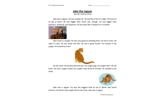 Jake the Jaguar Reading Comprehension Worksheet