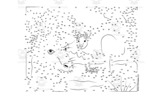 Kangaroo Dot-to-Dot / Connect the Dots PDF