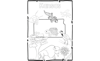 Kansas State Symbols Clip Art
