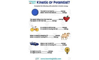 Kinetic or Potential Energy Activity