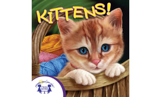 Kittens Know-It-Alls! Audio Book