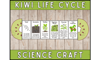 Kiwi Life Cycle Craft Foldable Science Cut and Paste Activity