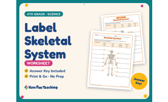 Label Skeletal System Worksheet – 4th Grade Anatomy & Human Body