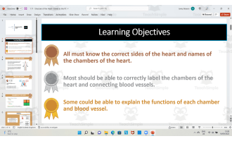 Labelling the Heart Structures
