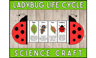 Ladybug Life Cycle Craft Foldable Science Cut and Paste Activity