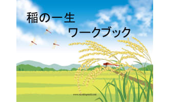 Language Packet: Life Cycle of a Rice Plant (Japanese)