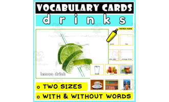 Language Vocabulary Flashcards ESL 17