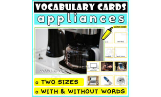 Language Vocabulary Flashcards ESL 21