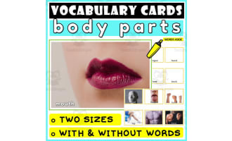 Language Vocabulary Flashcards ESL 22