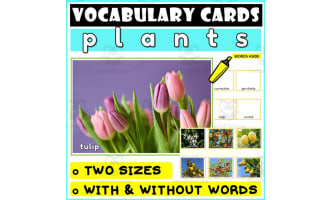 Language Vocabulary Flashcards ESL 38