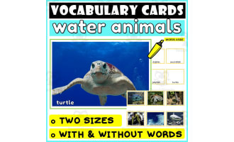 Language Vocabulary Flashcards ESL 55