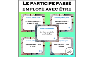 Le participe passé employé avec être - 28 CÀT