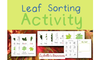 Leaf Sorting Activity: Kindergarten Science Projects