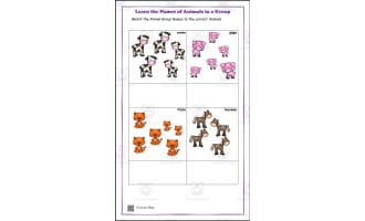 Learning Names of Animals in a Group Pre-K Kinder Homeschool