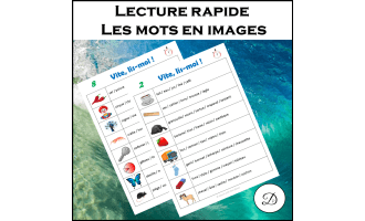Lecture rapide – Les mots en images (10 fiches) / Speed reading