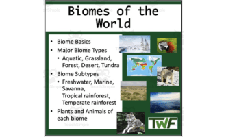 Lesson on Biomes of the Earth