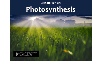Lesson Plan on Photosynthesis
