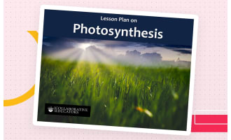 Lesson Plan on Photosynthesis