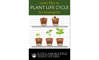 Lesson Plan on Plant Life Cycle for Kindergarten