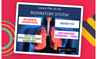 Lesson Plan on the Respiratory System - Grades 9-12